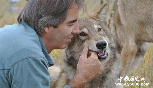 民间故事：一只狼的报恩