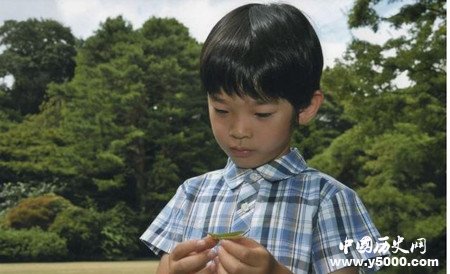 探秘：日本皇室生儿子为啥那么困难？